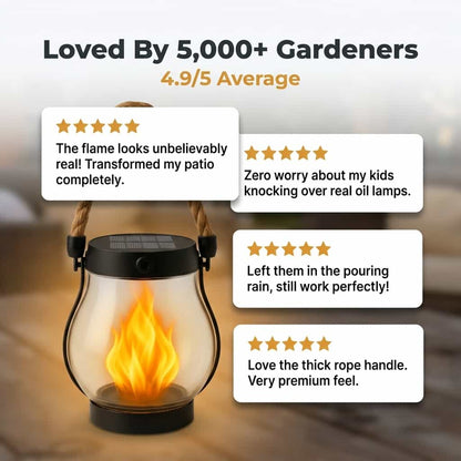 La Lanterne Solaire EverFlame - Une Flamme Parfaite, Chaque Nuit